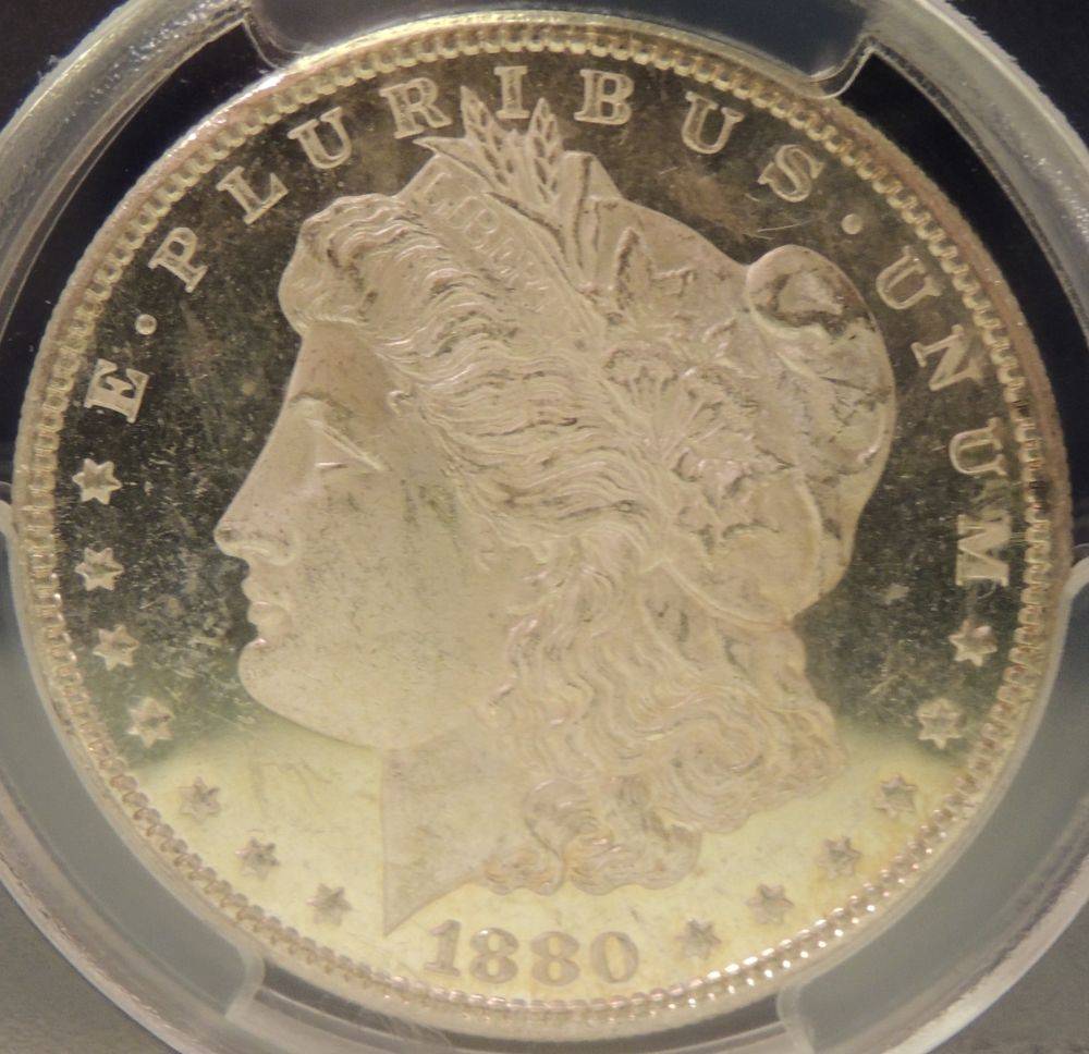 You-Vs-PCGS-1880-S-Morgan-Grade-Posted